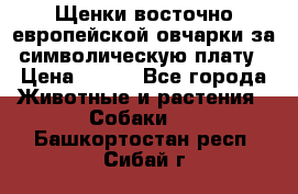 Щенки восточно европейской овчарки за символическую плату › Цена ­ 250 - Все города Животные и растения » Собаки   . Башкортостан респ.,Сибай г.